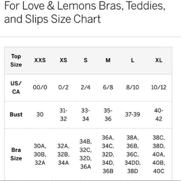 For Love And Lemons Victoria Secret Colab Daisy Longline Bra NWT L - Picture 8 of 8